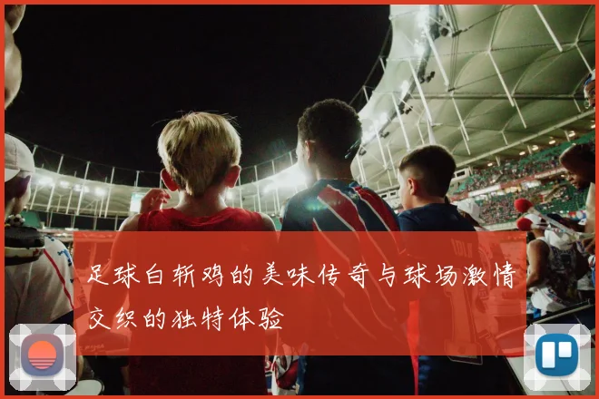 足球白斩鸡的美味传奇与球场激情交织的独特体验