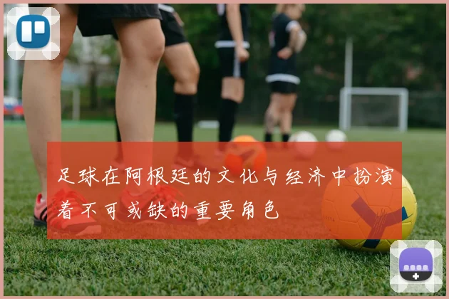 足球在阿根廷的文化与经济中扮演着不可或缺的重要角色