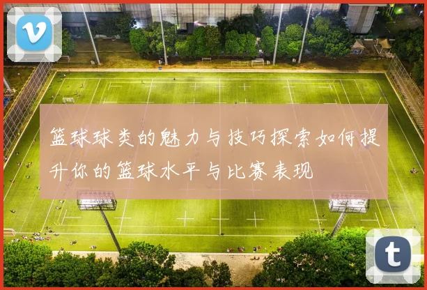 篮球球类的魅力与技巧探索如何提升你的篮球水平与比赛表现