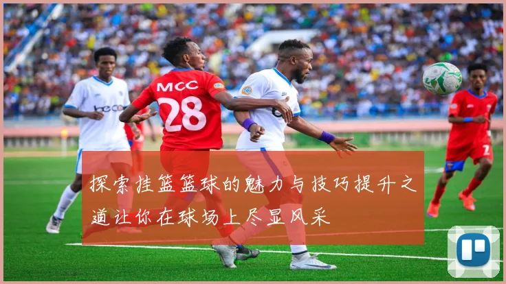 探索挂篮篮球的魅力与技巧提升之道让你在球场上尽显风采