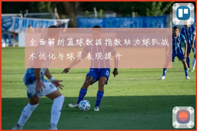 全面解析篮球数据指数助力球队战术优化与球员表现提升