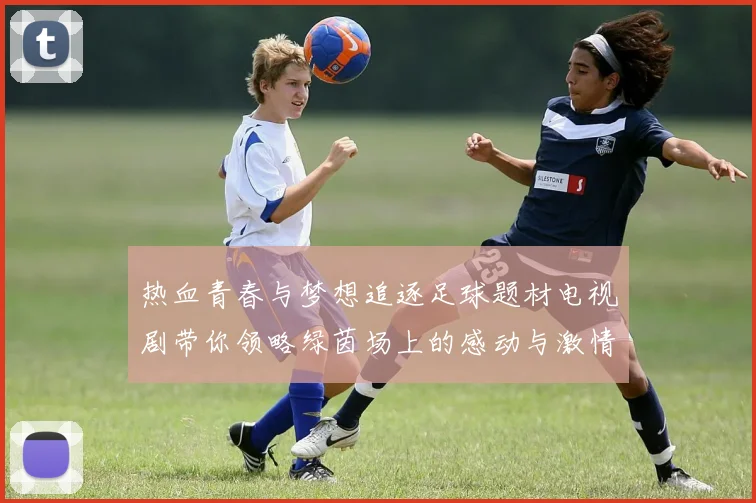 热血青春与梦想追逐足球题材电视剧带你领略绿茵场上的感动与激情