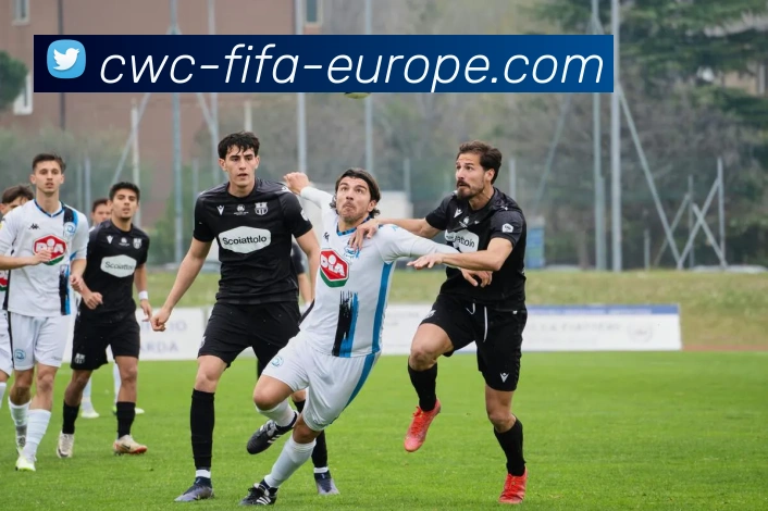 2026世界杯平台生态图